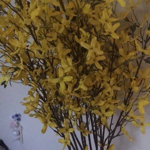 Meet your Posher, Kieu